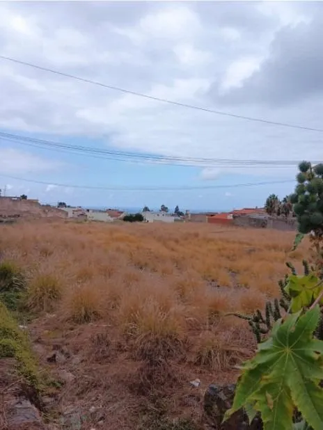 GRAN SOLAR URBANO PUERTO DE LA CRUZ — 3