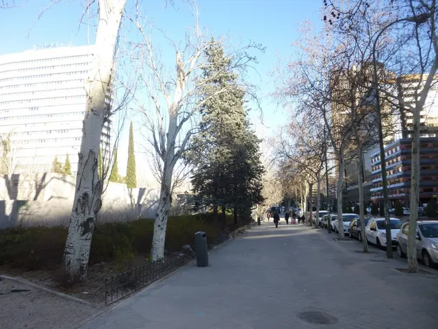 Se alquila piso de 2 dormitorios con increible terraza de 100m2 — 45