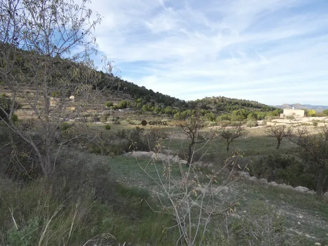 Parcela de 10.041m2 en Monovar - Collado Victoriano — 13