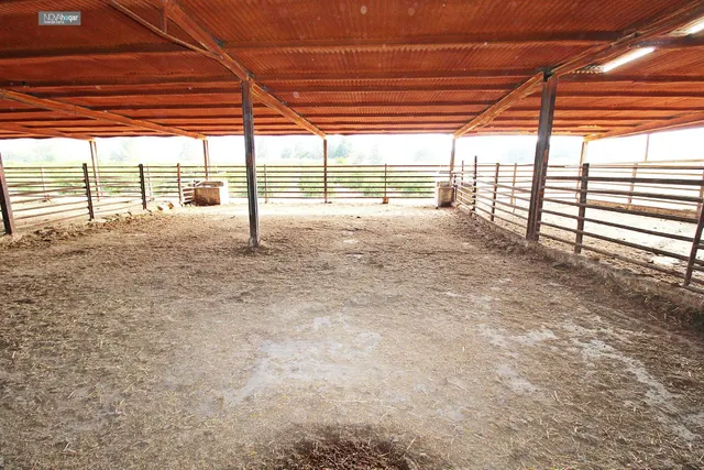 FINCA RÚSTICA EN CAMPANILLAS — 20