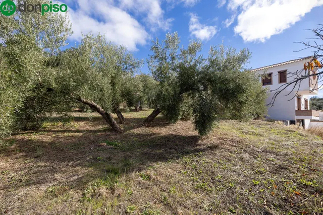 Estupenda parcela en Nívar — 11
