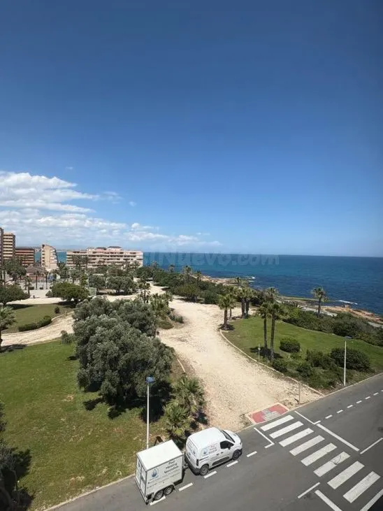 Apartamento 1 habitación en venta - Cabo cervera — 4