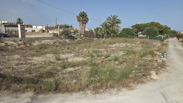SE ALQUILA - Parcela de uso agrario en La Marina, Alicante, 