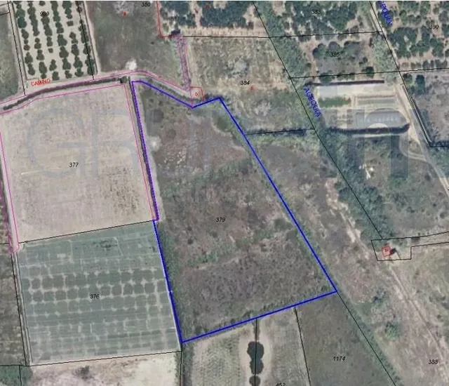 FINCA RUSTICA EN VENTA CULLERA (VALENCIA) - foto 3