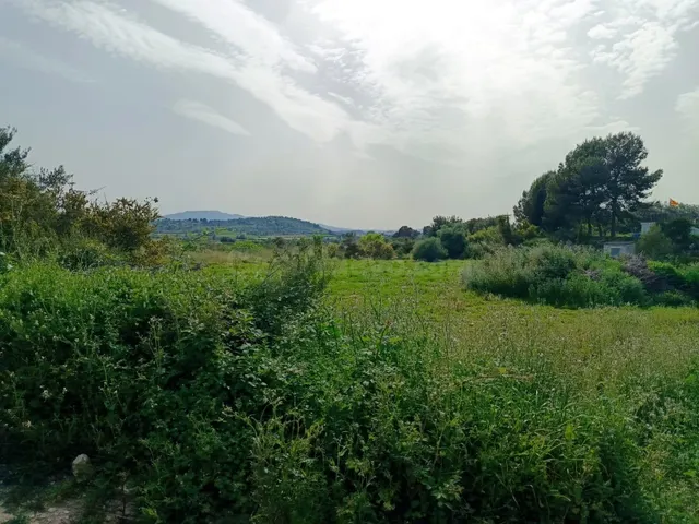 Parcela en venta - Canapar - foto 5