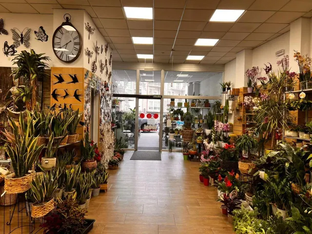 LOCAL EN AVENIDA DE BUENOS AIRES EN VENTA DISPONIBLE. EL ESP - foto 4