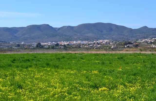 Parcela con vistas al Montgó en Gata de Gorgos — 8