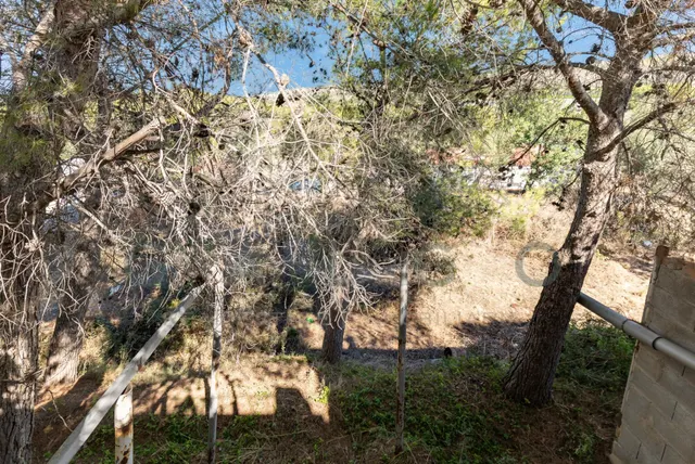 CHALET EN TORRENTE — 30