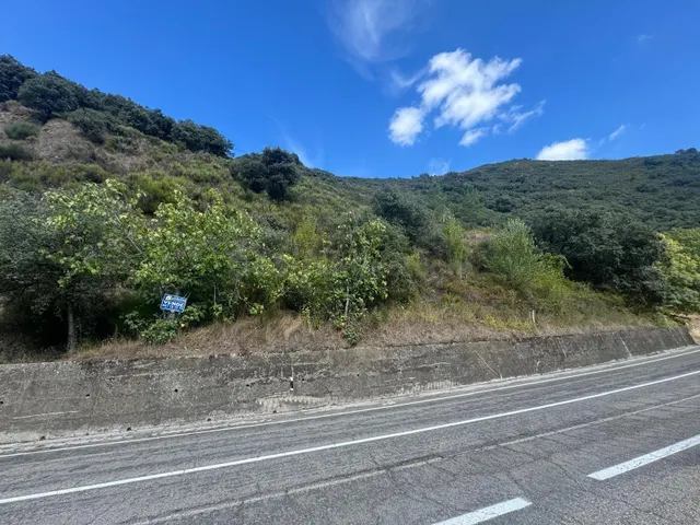 SE VENDE FINCA RUSTICA DE 79.900 M2 EN VILLAFRANCA DEL BIERZ - foto 5