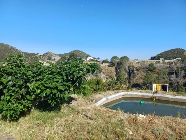 PARCELA DE TERRENO CON CASA CONSTRUIDA Y ARBOLES FRUTALES — 30