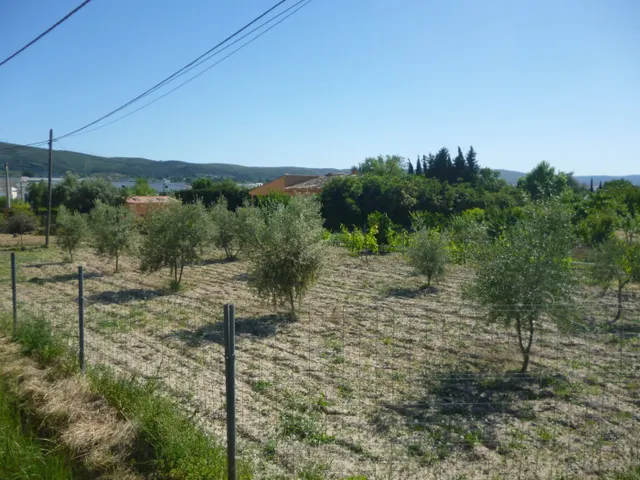 Terreno en Camí La Font - Ontinyent — 5