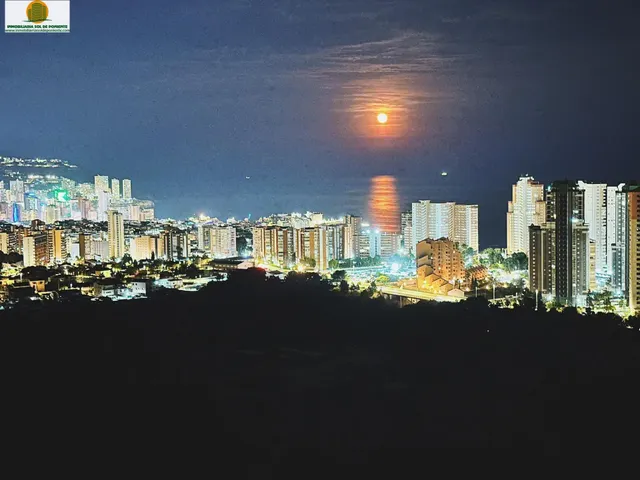 Exclusiva propiedad en planta 19 con vistas panorámicas al mar – Playa de Poniente, Benidorm — 33