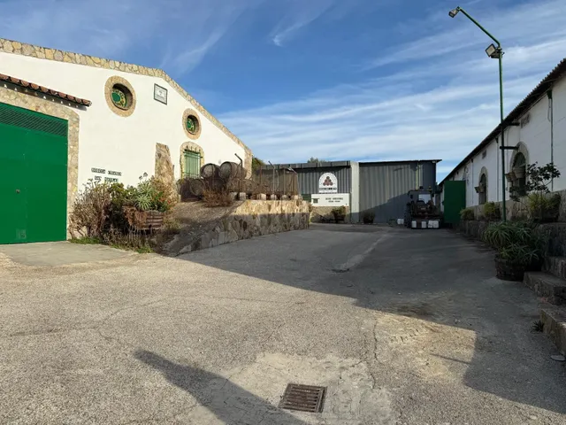 Viñedo de 24,40ha 1300m2 naves y 400m2 restaurante — 17