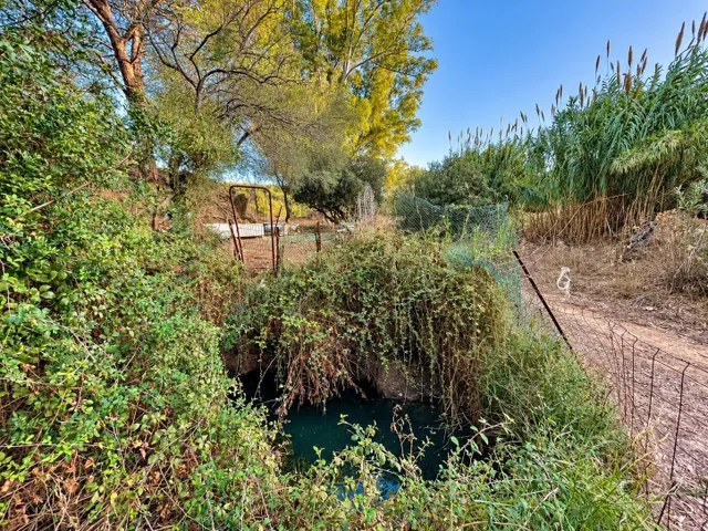 Finca rústica de 18.444 m2 con pozo y construcción catastrada en Alcalá de los Gazule — 20
