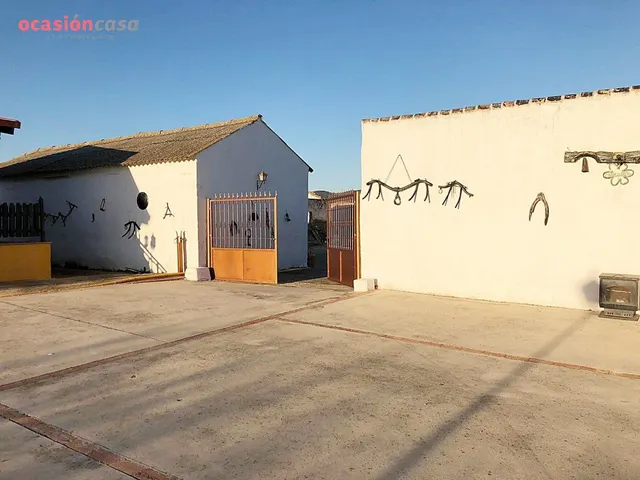 PRESTA ATENCIÓN A ESTA AUTÉNTICA PRECIOSIDAD. — 5