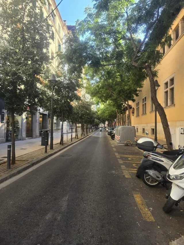 PISO EN EL CENTRO DE PALMA — 31