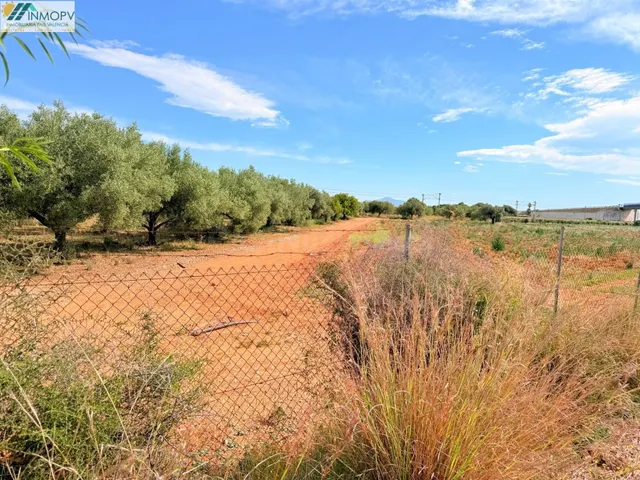 ¡OPORTUNIDAD! PARCELA RÚSTICA DE 3.900 m2 EN PEÑÍSCOLA CON A - foto 2
