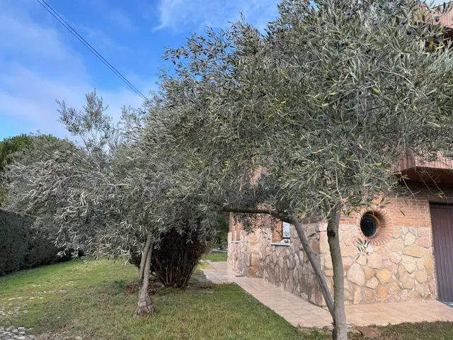 Villa 6 habitaciones 585m² en venta - Parque Boadilla — 33