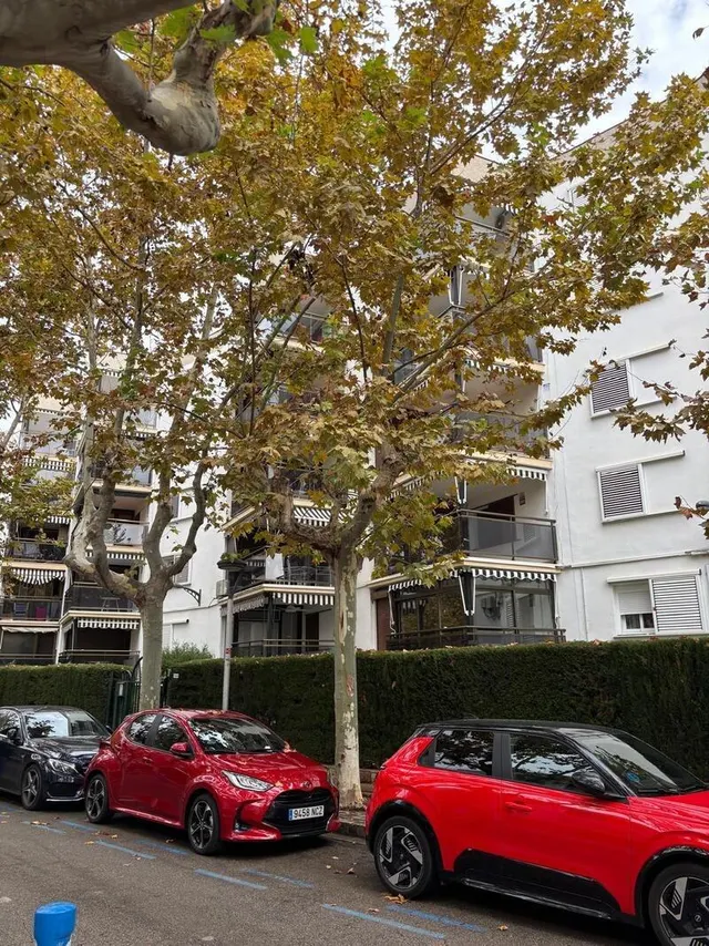 Piso 3 habitaciones 111m² en venta - Paseo Jaime I — 27