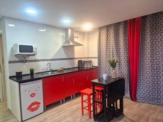 Se vende loft reformado en el Paseo de la Conferencia — 10