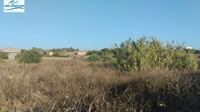 SE VENDE PARCELA SEGREGADA EN CALLEJON BORREGUITOS