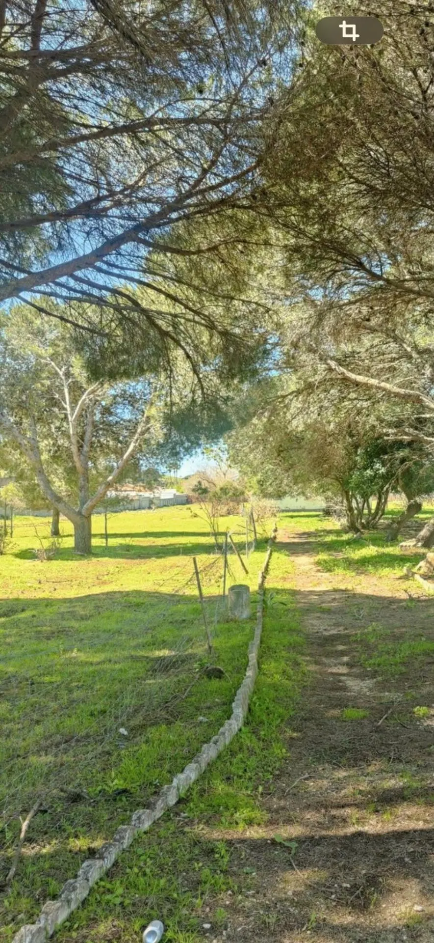 PARCELA  RUSTICA NO RUBANA SEGREGADA  JUNTO VENTA FLORENTINA  PAGO HUMO