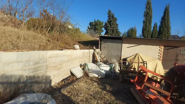 TERRENO RÚSTICO CON PLANTACIÓN FRUTAL Y ALMACÉN - foto 5