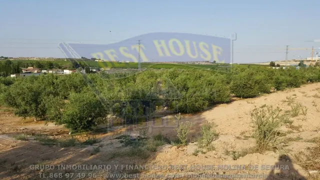 ++finca rustica en Las Torres de Cotillas++ 45.500 m. superf - foto 2