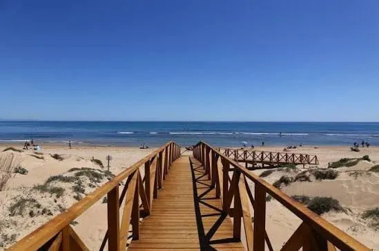 Duplex a 5 m. de playa la mata pueblo : 2 hab, 1 baño, vistas al mar, terraza — 20