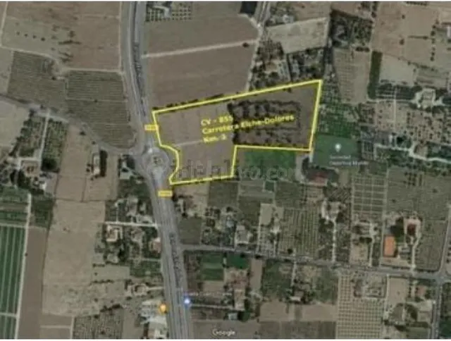 TERRENO DE 32.000 METROS RÚSTICO URBANIZABLE EN LA ALCUDIA - foto 2