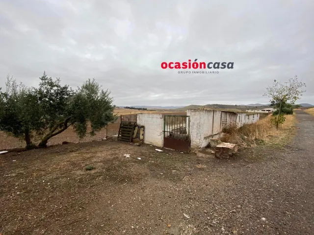 PARCELA CON NAVES Y EXPLOTACIÓN DE PORCINO - foto 2