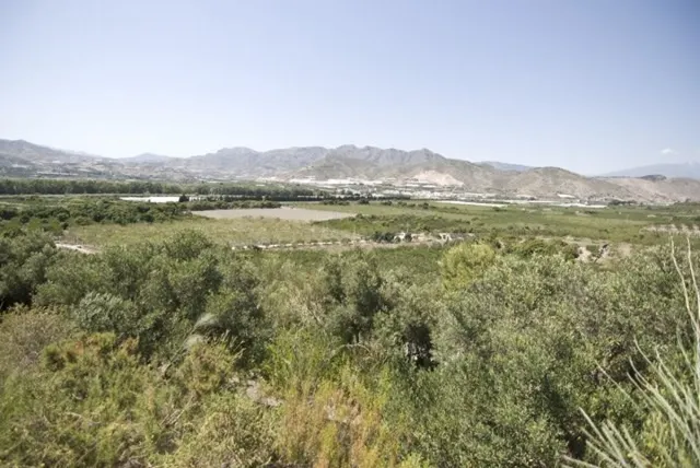 FINCA RUSTICA EN EL PUNTAL DE JARIZ