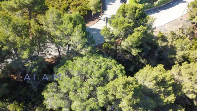 Posibilidad de edificar casa en una sola planta - foto 3