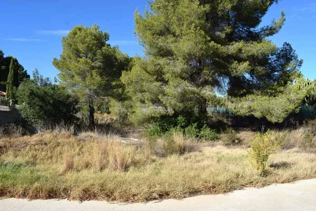 Parcela en venta cerca del pueblo - foto 3
