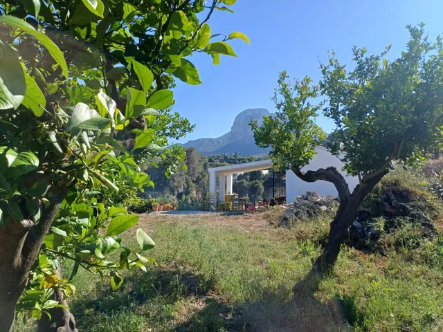 PARCELA DE TERRENO CON CASA CONSTRUIDA Y ARBOLES FRUTALES — 39