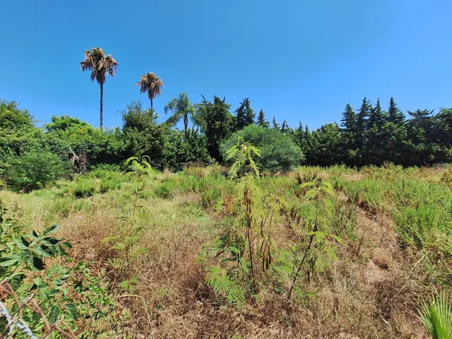 Parcela en venta - Costa Del Sol - foto 4