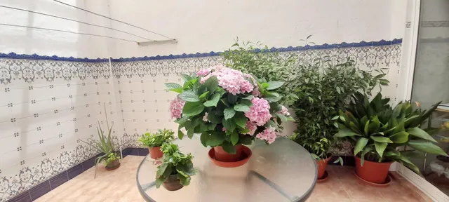 EDIFICIO DE 2 PLANTAS y 2 VIVIENDAS EN BARRIO DON JESÚS ALTA CALIDAD — 17