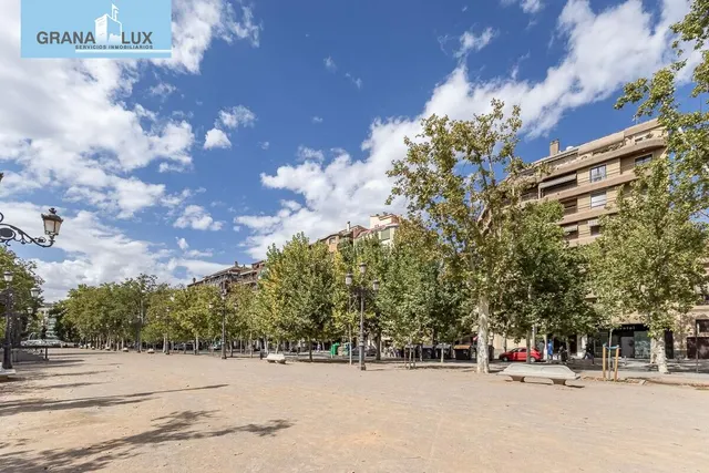 Pisazo en paseo del salón - Granada — 47