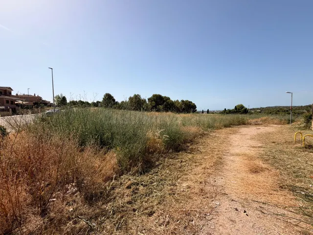 PARCELA EN VENTA EN LAS PEDRERES SANTA OLIVA - foto 4