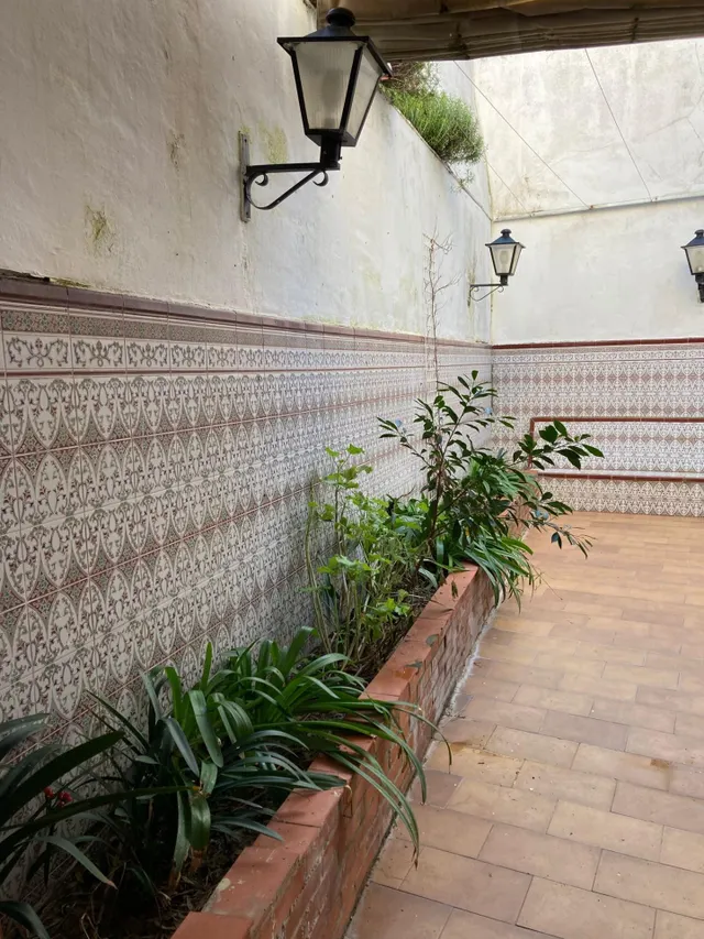 Espectacular Finca ofrece multitud de opciones - foto 3