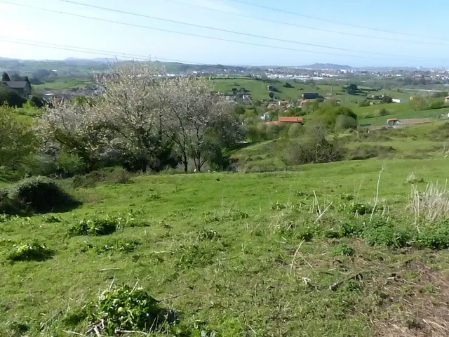 TERRENO EN LIAÑO - foto 3