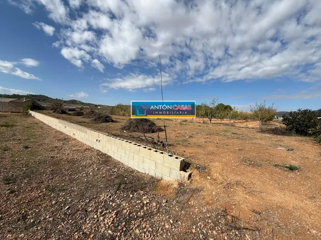 CASA REFORMADA CON TERRENO RÚSTICO DE 3.000 M2 EN ÚBEDA – PINOSO — 37