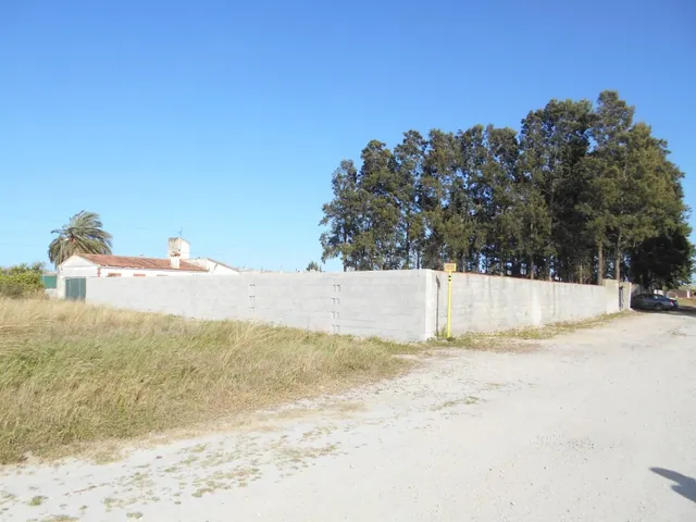 Finca rústica 140m² en venta - Oliva Nova - foto 5