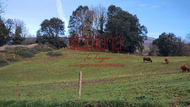 CASA DE PIEDRA CON AMPLIA PARCELA. ESCOBEDO DE VILLAFUFRE. — 38