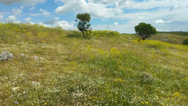 Terreno urbano en venta - Fuentelencina — 25
