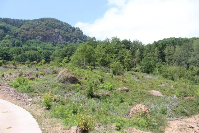 CASERIO CON TERRENO EN SUMBILLA — 14