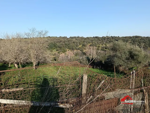 DESCUBRE LA JOYA DE LA PALOMERA - foto 2