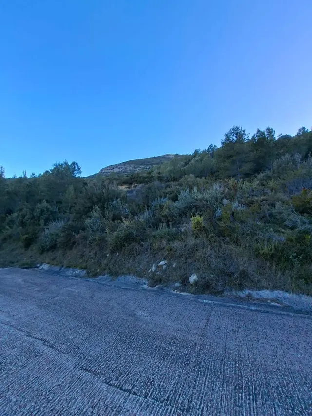 Se venden varias parcelas unificadas con un total de 24158 m2 en Benigembla, — 6