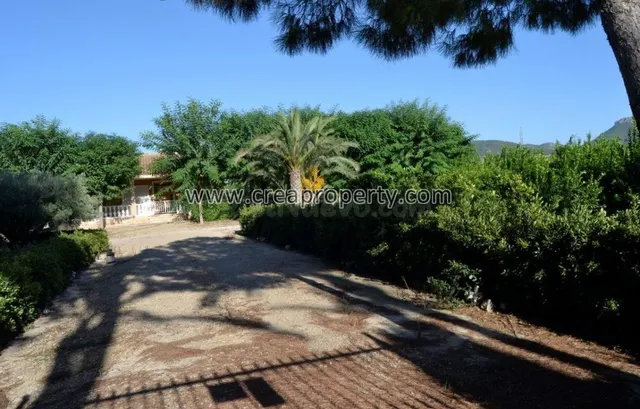 Excelente Finca con caballerizas en El Palmar (Murcia) - foto 5