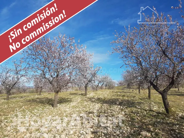 Naturaleza, privacidad y gran producción agrícola en esta singular finca rústica con cortijo tradicional en Vélez-Rubio — 2